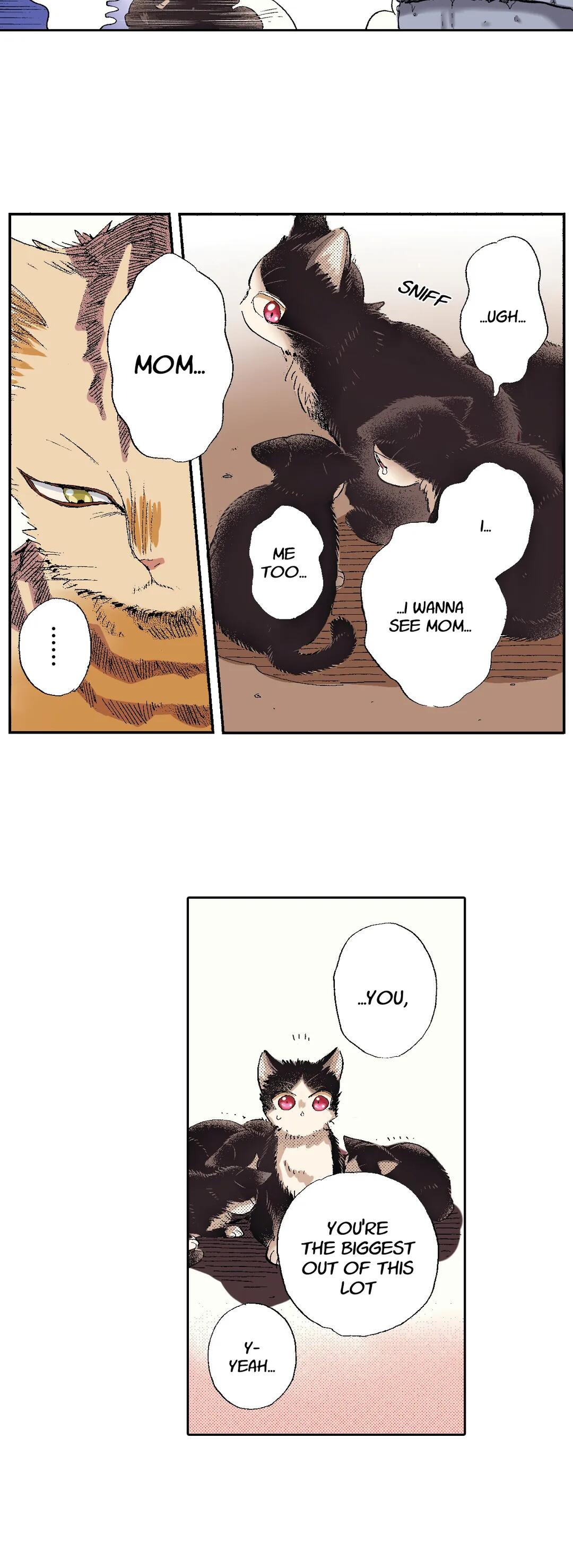 My Roommate Is A Cat Chapter 49