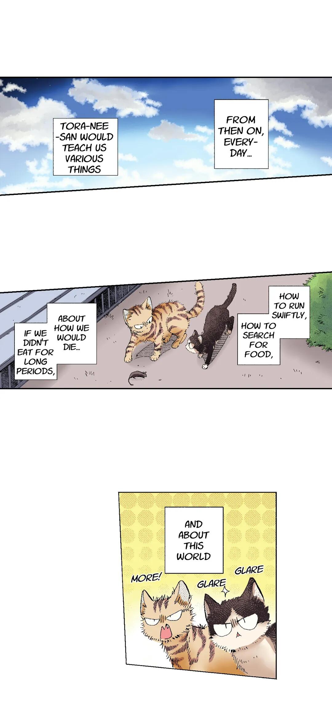 My Roommate Is A Cat Chapter 49