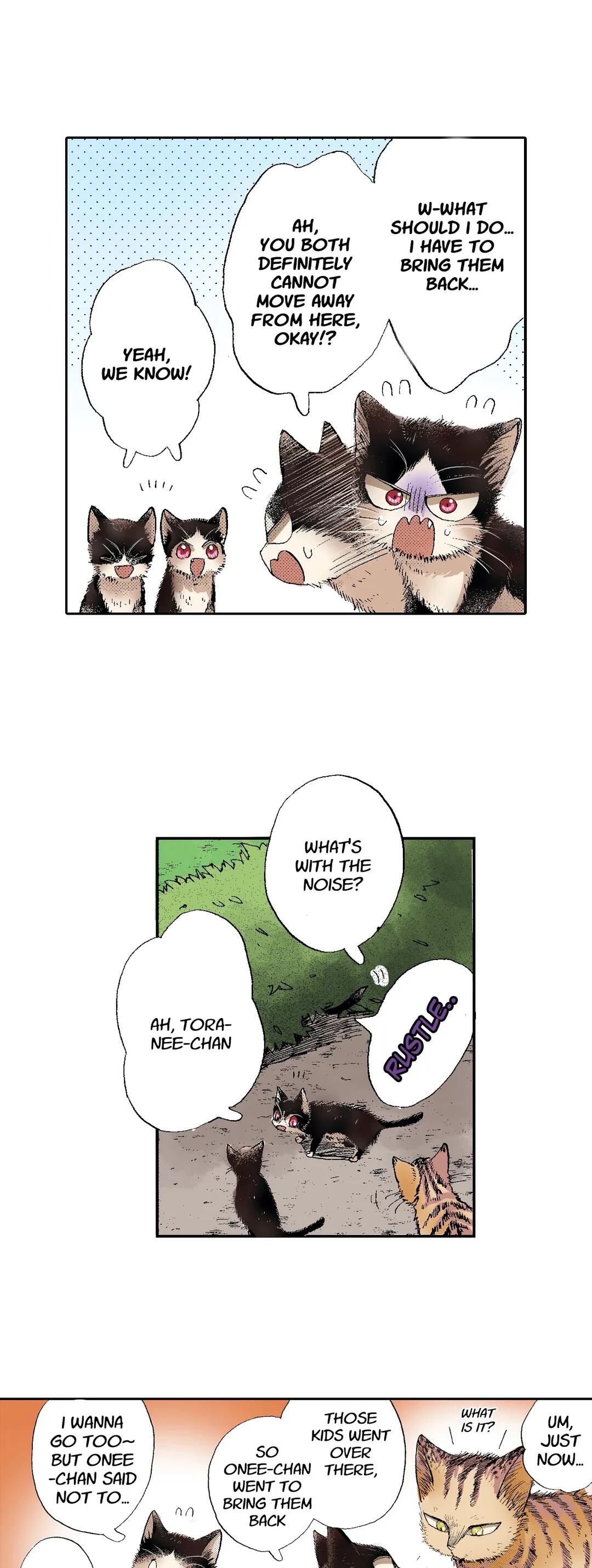 My Roommate Is A Cat Chapter 50