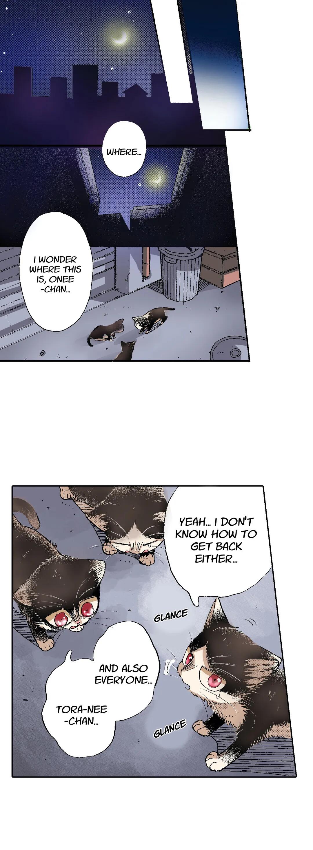 My Roommate Is A Cat Chapter 50