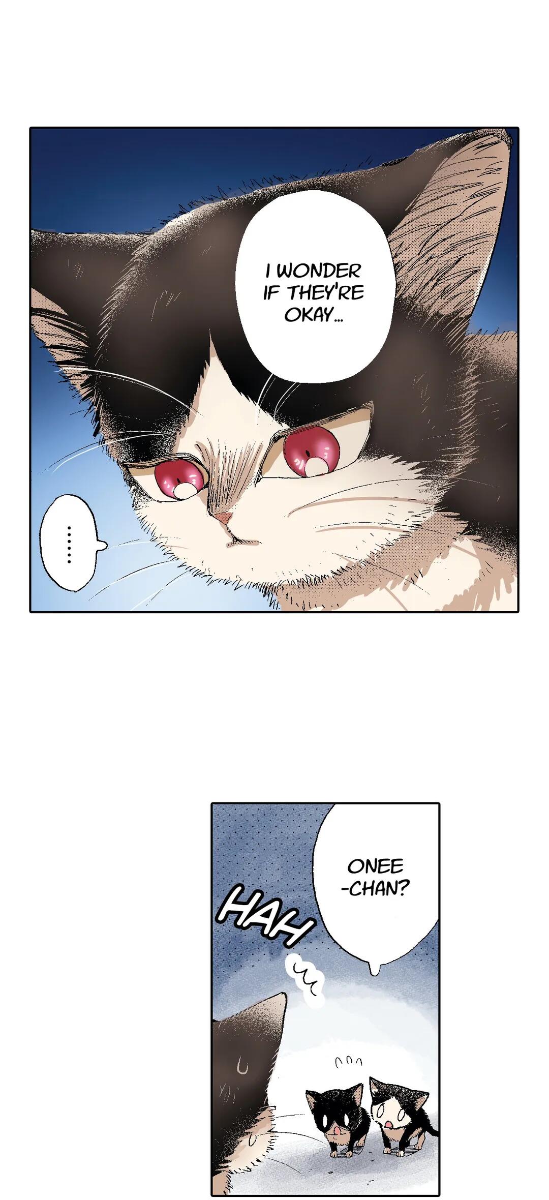 My Roommate Is A Cat Chapter 50