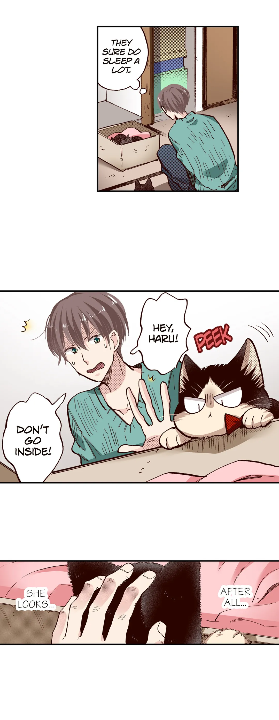 My Roommate Is A Cat Chapter 64