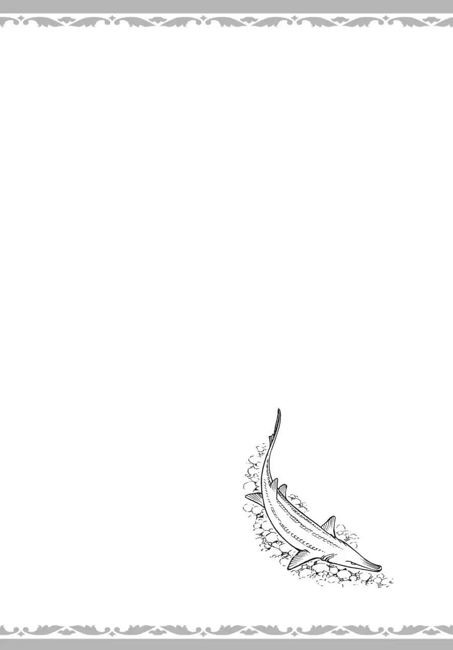 Otoyomegatari Chapter 22.5 10