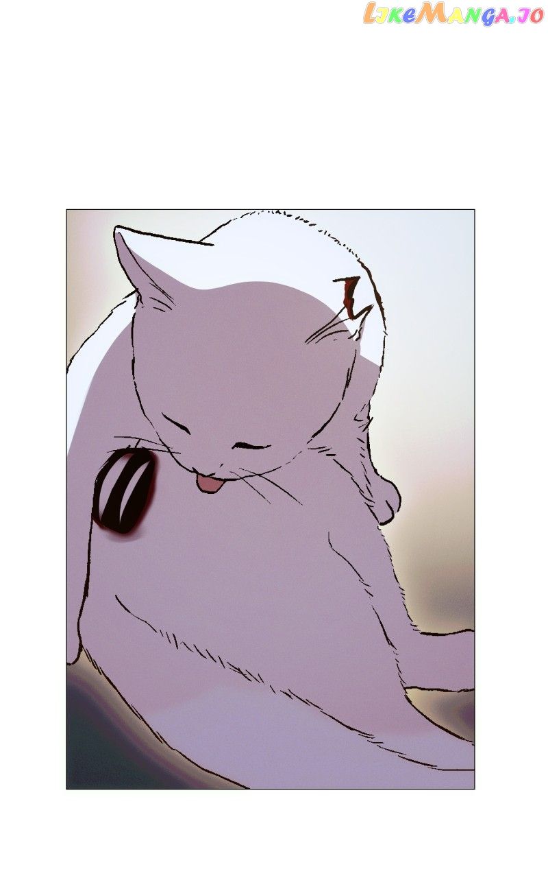 Rebirth-69michi Chapter 206 6